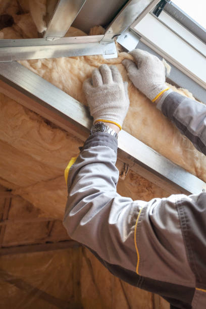 Best Commercial Insulation in Offutt Af, NE